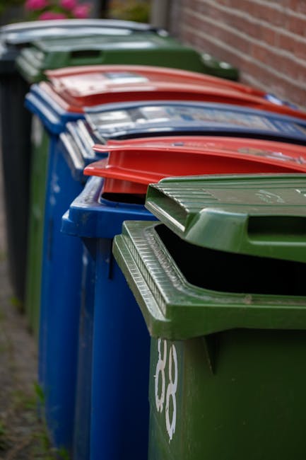 Insider tips for rubbish collection on Mottingham Road