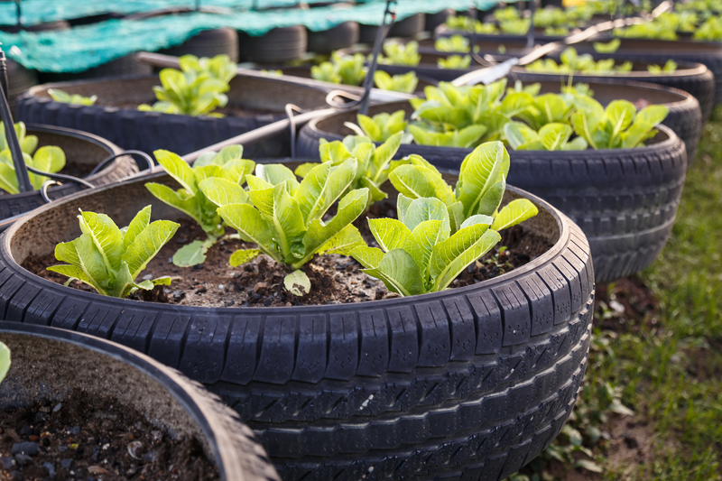 Why Packaging and Cardboard Disposal Matters for a Greener Tomorrow